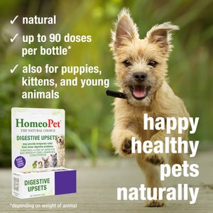 HomeoPet Digestive Upsets Homeopathic Medicine for Digestive Issues for Birds, Cats, Dogs & Small Pets, 450 drops