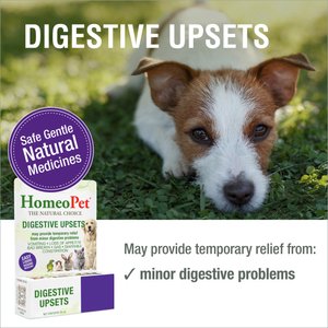 HomeoPet Digestive Upsets Homeopathic Medicine for Digestive Issues for Birds, Cats, Dogs & Small Pets, 450 drops