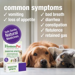 HomeoPet Digestive Upsets Homeopathic Medicine for Digestive Issues for Birds, Cats, Dogs & Small Pets, 450 drops