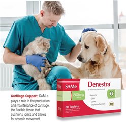 Denestra SAMe 400mg Tablet Liver & Joint Supplement for Dogs, 60 count slide 2 of 8