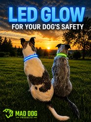 Mad Dog Products The Night Walker Reflective LED Dog Collar, Red, Medium: 20-in neck, 1-in wide slide 2 of 6