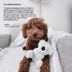 Fur Elise Koko Mini Plush Dog & Cat Toy slide 2 of 7