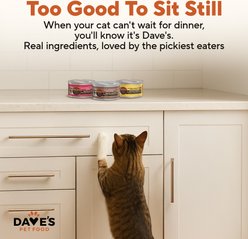 Dave's Pet Food Naturally Healthy Minced & Shredded Chicken in Gravy Variety Pack Grain-Free Wet Cat Food, 2.8-oz can, case of 12 slide 2 of 9