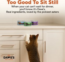 Dave's Pet Food Naturally Healthy Tuna Pate in Gravy Variety Pack Grain-Free Wet Cat Food, 5.5-oz can, case of 12 slide 2 of 9