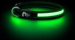 Mad Dog Products The Night Walker Reflective LED Dog Collar, Black, Medium: 20-in neck, 1-in wide
