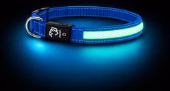 Mad Dog Products The Night Walker Reflective LED Dog Collar, Blue, Large: 24-in neck, 1-in wide