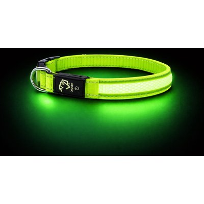 Mad Dog Products Mad Dog Products The Night Walker Reflective LED Dog Collar, Green, Medium: 20-in neck, 1-in wide