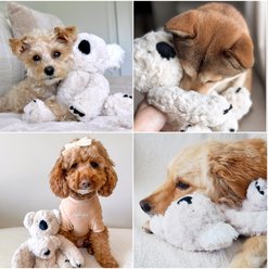 Fur Elise Koko Maxi Plush Dog Toy slide 2 of 9