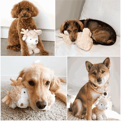 Show full view: Fur Elise Vixi Maxi Plush Dog Toy slide 6 of 8
