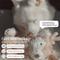 Show in main carousel: Fur Elise Vixi Maxi Plush Dog Toy slide 5 of 8
