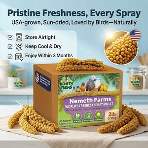 Nemeth Farms Natural Sun Dried Millet Spray Bird Food, 2-lb box