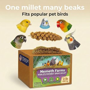 Nemeth Farms Natural Sun Dried Millet Spray Bird Food, 2-lb box