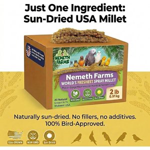 Nemeth Farms Natural Sun Dried Millet Spray Bird Food, 2-lb box