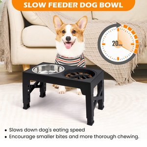 Best Elevated Dog Bowls 2026: According to Reviews | Chewy