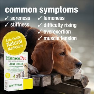 HomeoPet Joint Stress Homeopathic Medicine for Joint Pain/Arthritis for Birds, Cats, Dogs & Small Pets, 450 drops