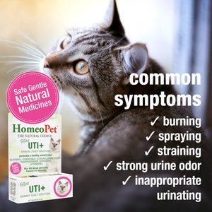 HomeoPet UTI+ Homeopathic Medicine for Urinary Tract Infections UTI for Cats, 450 drops