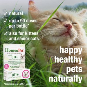 HomeoPet UTI+ Homeopathic Medicine for Urinary Tract Infections UTI for Cats, 450 drops