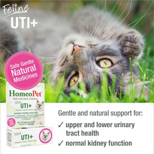 HomeoPet UTI+ Homeopathic Medicine for Urinary Tract Infections UTI for Cats, 450 drops
