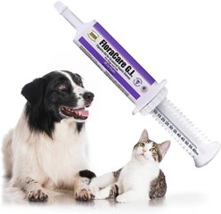 Ora-Clens FloraCare G.I. Dog & Cat Supplement, 60-cc