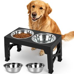 Niubya Elevated Dog Bowl Set, 5-cup, Black
