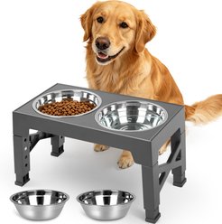 Niubya Elevated Dog Bowl Set, 5-cup, Grey