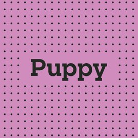 Puppy