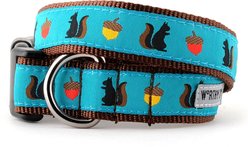 The Worthy Dog Squirrelly Adjustable Dog Collar, Teal, Medium: 11 to 17-in neck, 1-in wide