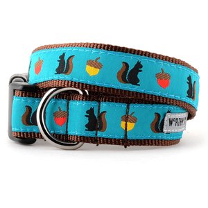 The Worthy Dog Squirrelly Adjustable Dog Collar, Teal, Large: 14 to 20-in neck, 1-in wide