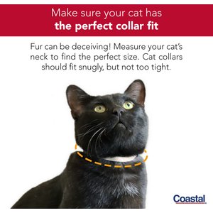 Safe Cat Snag-Proof Polyester Breakaway Cat Collar with Bell, Purple