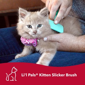 Li'l Pals Coated Tips Cat Slicker Brush