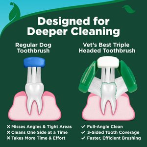 Vet's Best Toothbrush & Toothpaste Dental Kit, 3.5-oz tube, Adult