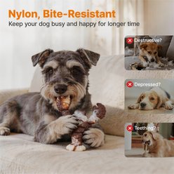 Potaroma Durable Nylon Lobster Beef Flavored Tough Interactive Dental Health Exercise Chew Dog Toy, Brown slide 2 of 9