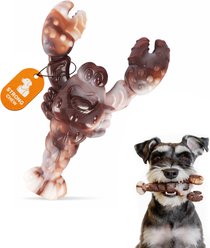 Potaroma Durable Nylon Lobster Beef Flavored Tough Interactive Dental Health Exercise Chew Dog Toy, Brown