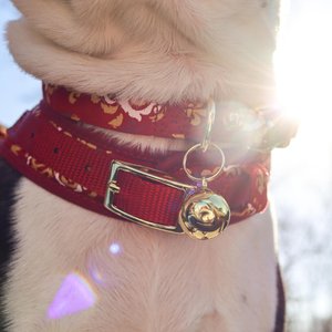 Coastal Pet Products Round Dog Bells, 3 count, Gold