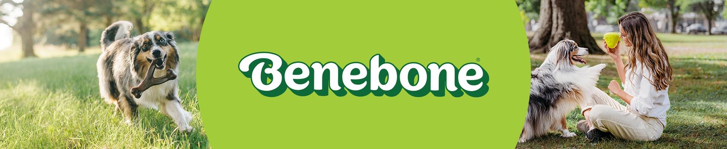 Benebone