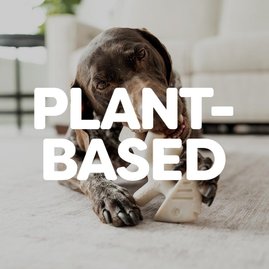 Plant-Based