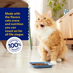 Chewy Made Chicken Recipe Grain-Free Dry Cat Food (FORMERLY AMERICAN JOURNEY), 24-lb bundle slide 2 of 8