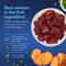 Show in main carousel: Chewy Made Limited Ingredient Venison & Sweet Potato Recipe Grain-Free Dry Dog Food (FORMERLY AMERICAN JOURNEY), 24-lb bag slide 5 of 9