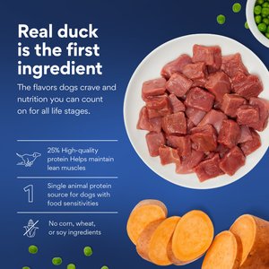 Chewy Made Limited Ingredient Duck & Sweet Potato Recipe Grain-Free Dry Dog Food (FORMERLY AMERICAN JOURNEY), 24-lb bag