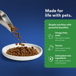 Chewy Made Duck Recipe Grain-Free Dry Cat Food (FORMERLY AMERICAN JOURNEY), 12-lb bag slide 2 of 8