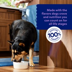 Chewy Made Complete Nutrition High Protein Grain-Free Lamb & Sweet Potato Recipe Dry Dog Food (FORMERLY AMERICAN JOURNEY), 24-lb bag slide 2 of 8
