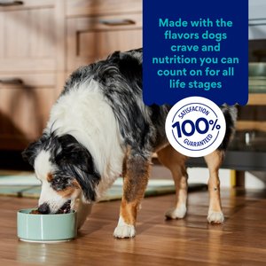 Chewy Made Complete Nutrition High Protein Grain-Free Salmon & Sweet Potato Recipe Dry Dog Food (FORMERLY AMERICAN JOURNEY), 24-lb bag