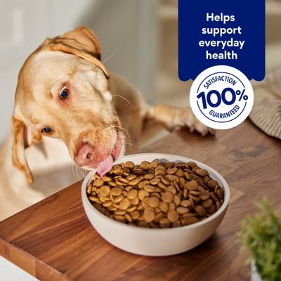 Show full view: Chewy Made Digestive Health Chicken & Brown Rice Recipe Dry Adult Dog Food, 40-lb bag slide 7 of 9