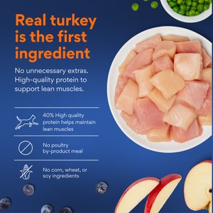 Chewy Made Turkey & Chicken Recipe Grain-Free Dry Cat Food (FORMERLY AMERICAN JOURNEY), 12-lb bag