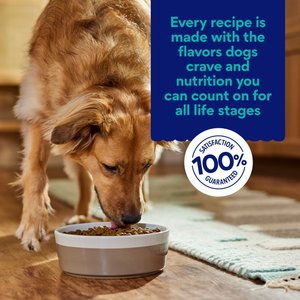 Chewy Made Complete Nutrition Salmon, Brown Rice & Vegetables Recipe Dry Dog Food (FORMERLY AMERICAN JOURNEY), 28-lb bag