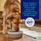 Show in main carousel: Chewy Made Complete Nutrition Salmon, Brown Rice & Vegetables Recipe Dry Dog Food (FORMERLY AMERICAN JOURNEY), 28-lb bag slide 7 of 9