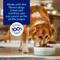 Show in main carousel: Chewy Made Limited Ingredient Venison & Sweet Potato Recipe Grain-Free Dry Dog Food (FORMERLY AMERICAN JOURNEY), 24-lb bag slide 7 of 9