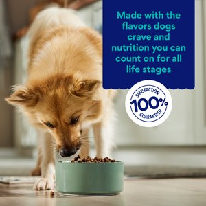 Chewy Made Limited Ingredient Salmon & Sweet Potato Recipe Grain-Free Dry Dog Food (FORMERLY AMERICAN JOURNEY), 24-lb bag