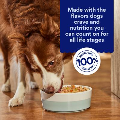 Show full view: Chewy Made Stews Poultry & Beef Variety Pack Grain-Free Canned Dog Food (FORMERLY AMERICAN JOURNEY), 12.5-oz can, case of 12 slide 7 of 9