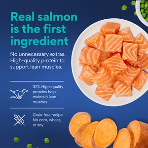 Chewy Made Complete Nutrition High Protein Grain-Free Salmon & Sweet Potato Recipe Dry Dog Food (FORMERLY AMERICAN JOURNEY), 24-lb bag